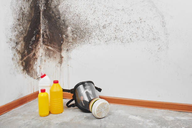 Washington, MO Mold Remediation Company