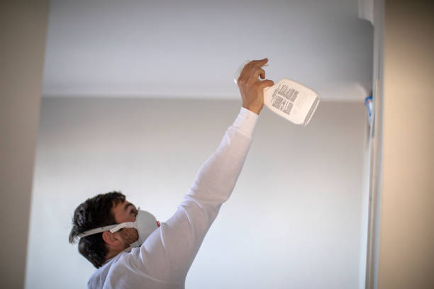 Best Basement Mold Remediation in Washington, MO